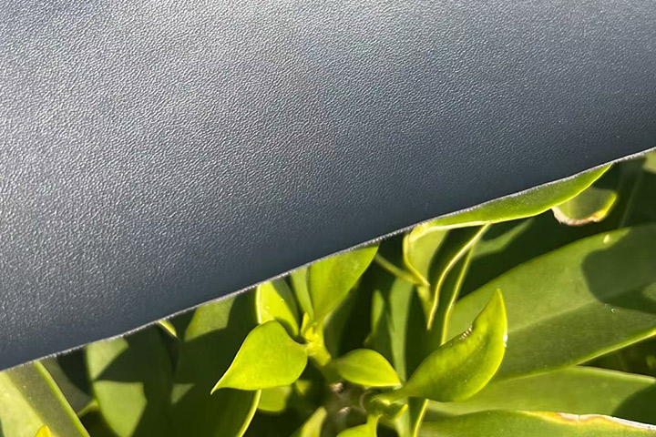 Development Prospects of Bio-Based Leather