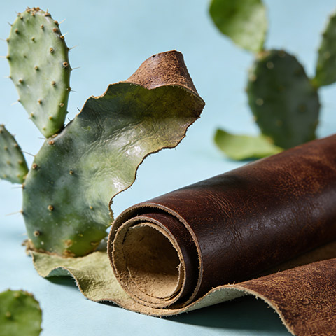 Cactus Peel Fiber Based