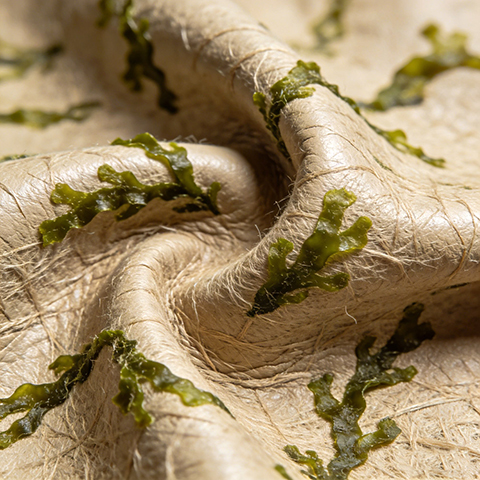 Seaweeds Fiber Based